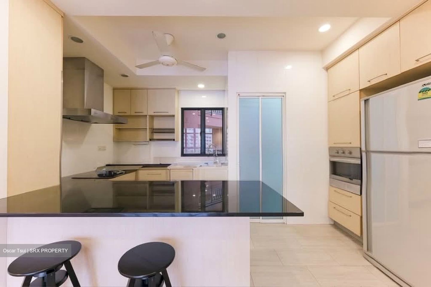 Dover Parkview (D5), Condominium #614439571